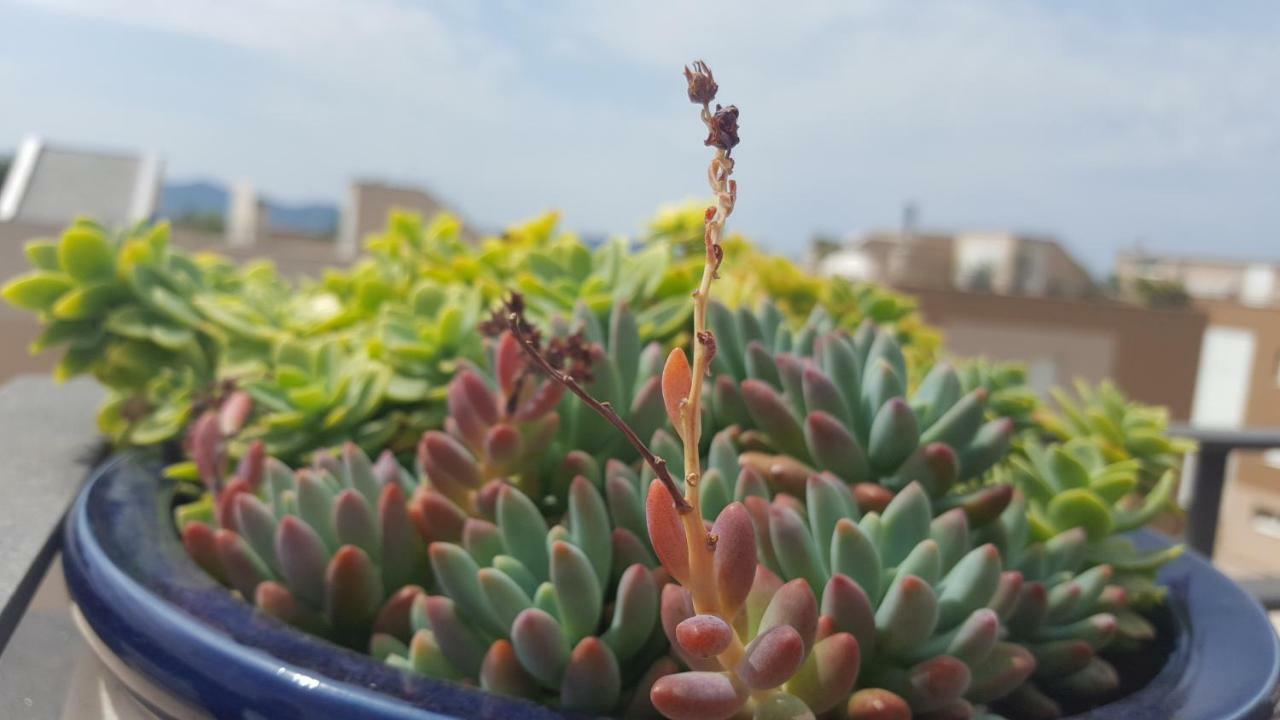 Apartment Garden Terrace Задар Экстерьер фото